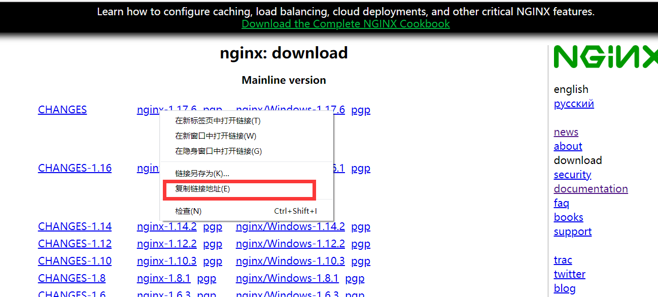 Centos8 installation nginx instance analysis