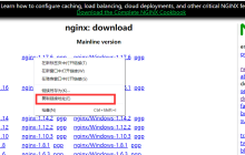 centos8安装nginx实例分析
