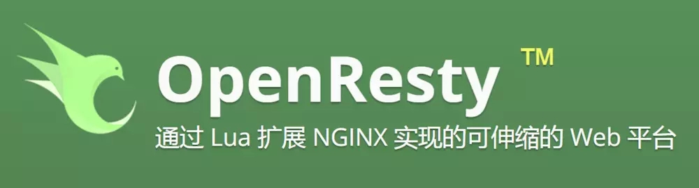 Nginx が Lua+Redis を使用して IP を動的に禁止する方法