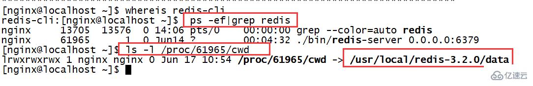 How to view the redis installation directory in Linux system