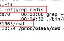 Linux系统如何查看redis安装目录