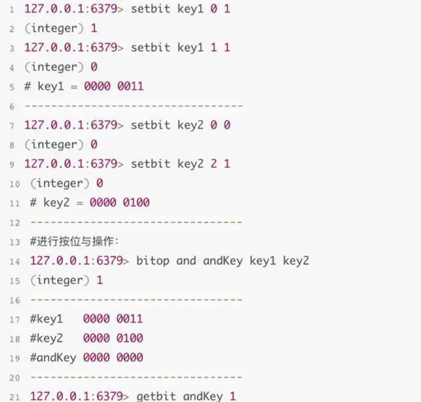 Redis 비트 작업을 사용하는 방법