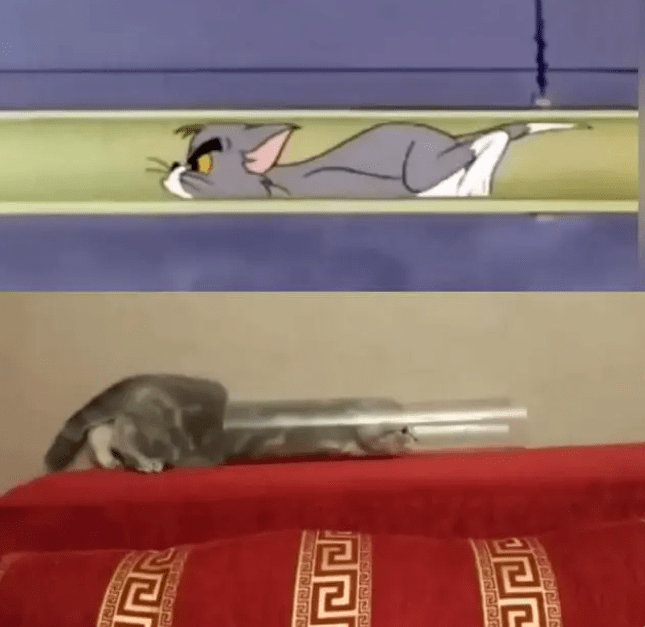 How can Tom and Jerry, which is famous in Tieba, beat AI painting?