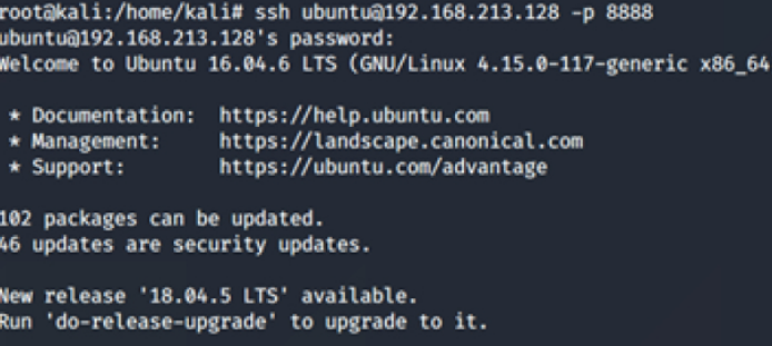 How to analyze Haproxy port reuse