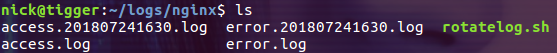 How to scroll nginx logs in docker