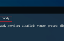 Nginx的Web服务器caddy怎么使用