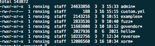 Go xorm menjana analisis contoh struktur mysql