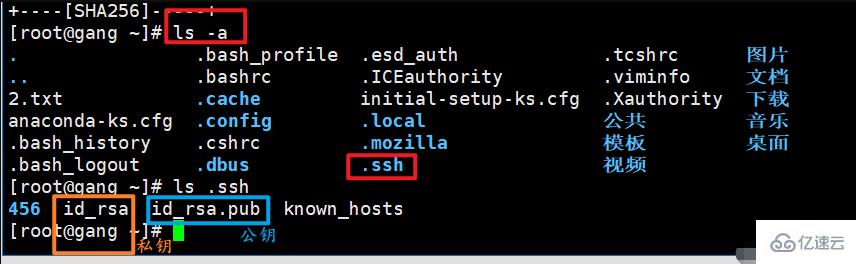 Does linux come with ssh?