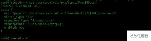 How to install MySQL database in FreeBSD13