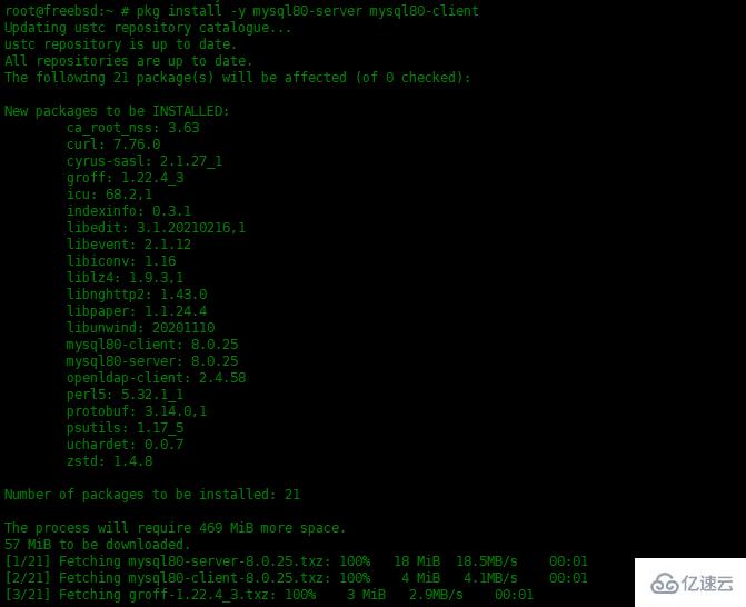 How to install MySQL database in FreeBSD13