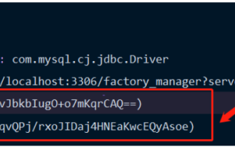 Wie Springboot Jasypt integriert, um die Verschlüsselung von Konfigurationsdateien zu implementieren