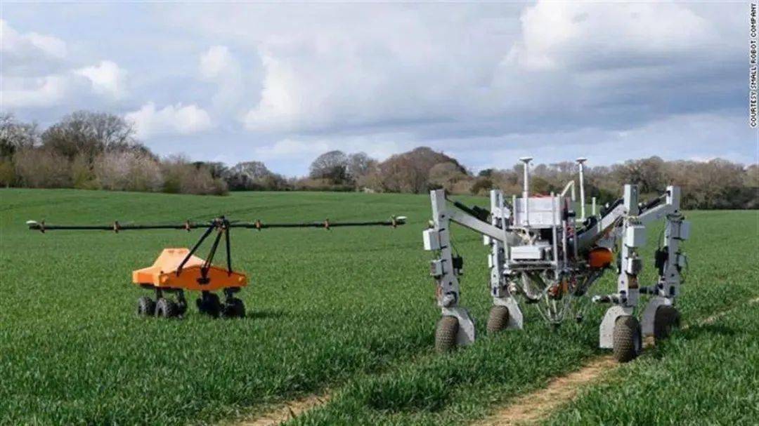 Bolehkah AI membuang 100,000 rumput dalam satu jam? Robot+ memperkasakan pertanian untuk meneroka pembangunan mampan