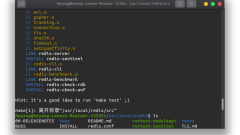 How to solve the error when installing redis on ubuntu