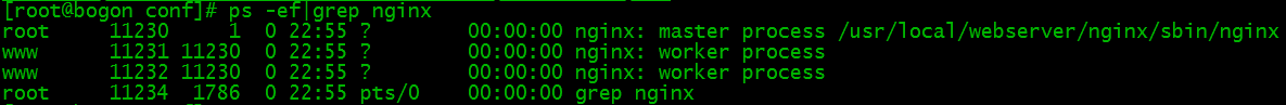 LinuxサーバーにNginxをインストールして構成する方法