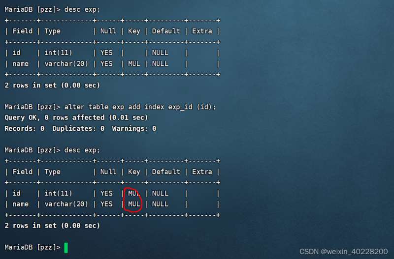 Wozu dienen Indizes in der MySQL-Datenbank?