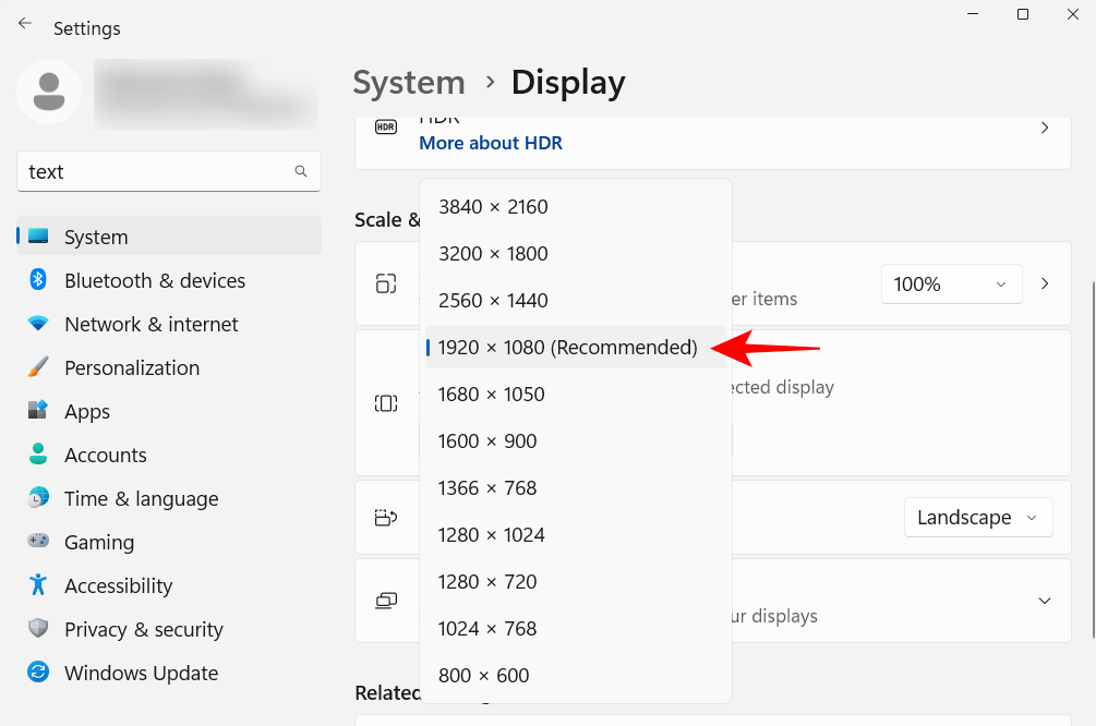 以 20 种方式自定义 Windows 11：分步教程