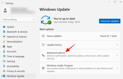 以 20 种方式自定义 Windows 11:分步教程