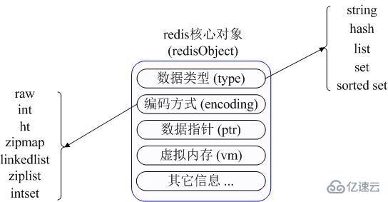 Comment appliquer les 5 types de données dans Redis