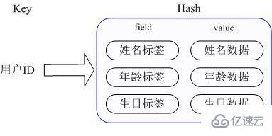 Comment appliquer les 5 types de données dans Redis