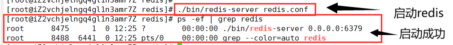 Apakah kaedah pemasangan Redis6 di bawah Centos7?