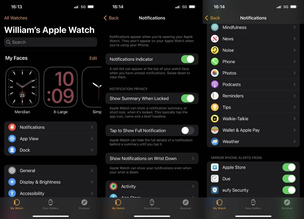 如何微调 Apple Watch 上的通知