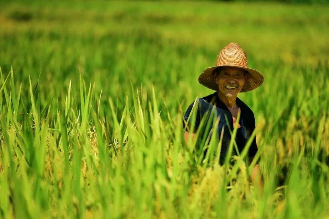 德国人是如何用机器人种地的？可以预见，未来农民或成高精尖职业