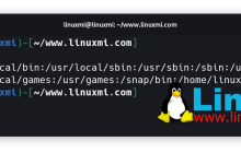 Linux 神秘对决：which vs. whereis vs. whatis