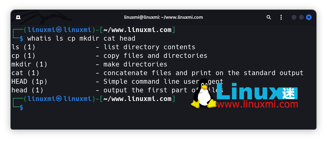 Linux 神秘对决：which vs. whereis vs. whatis