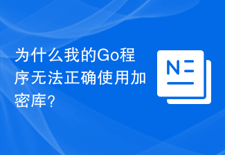 Why doesn't my Go program use the cryptographic library correctly?
