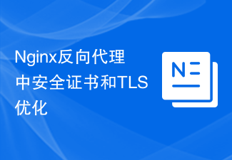 Nginx 역방향 프록시의 보안 인증서 및 TLS 최적화