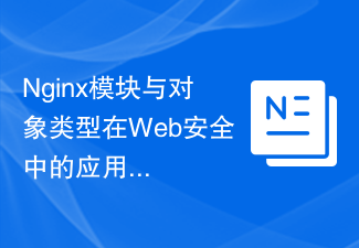 Web セキュリティにおける Nginx モジュールとオブジェクト タイプのアプリケーション