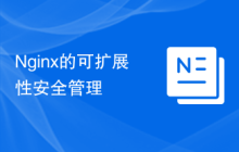 Nginx的可扩展性安全管理