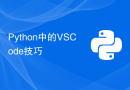 Python中的VS Code技巧