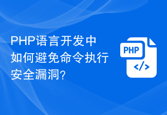 PHP语言开发中如何避免命令执行安全漏洞？