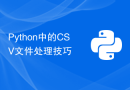 Python中的CSV文件处理技巧