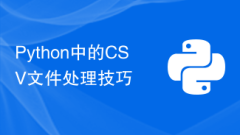 Python의 CSV 파일 처리 팁