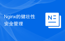Nginx的健壮性安全管理