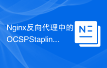 Nginx反向代理中的OCSP Stapling优化