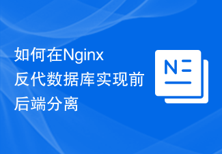 如何在Nginx反代数据库实现前后端分离