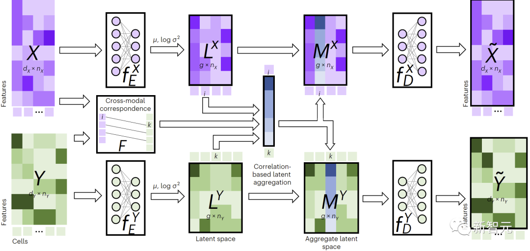 The UW-Chinese teams new multi-modal data analysis and generation method JAMIE greatly improves cell type and function prediction capabilities