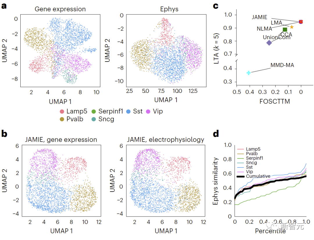 The UW-Chinese team’s new multi-modal data analysis and generation method JAMIE greatly improves cell type and function prediction capabilities