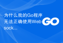 为什么我的Go程序无法正确使用Websocket中间件？