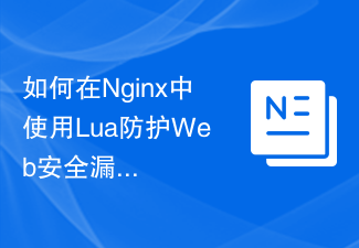 如何在Nginx中使用Lua防护Web安全漏洞