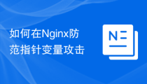 如何在Nginx防范指针变量攻击