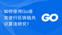 如何使用 Go 语言进行区块链共识算法研究？