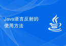 Java语言反射的使用方法