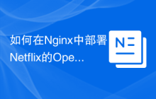 如何在Nginx中部署Netflix的OpenSSL补丁