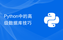 Python中的高级数据库技巧