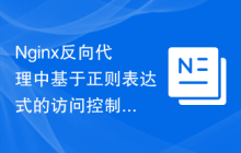 Nginx反向代理中基于正则表达式的访问控制配置