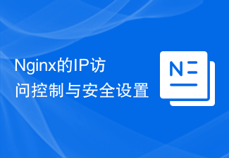 Nginx IP access control and security settings